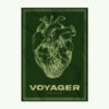 "Voyager" – Image 2